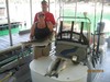 (08/28/2014) - Nice Striped Bass
